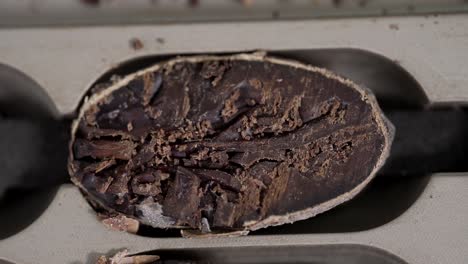 Raw-cocoa-bean-close-up-macro-detail-shot