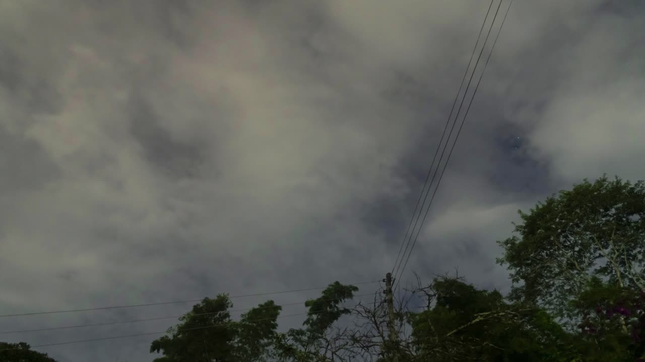 Overcast sky with overhead power lines and trees timelapse moving clouds