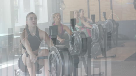 animación del procesamiento de datos en gráficos sobre diversas mujeres entrenamiento cruzado en elípticas en el gimnasio