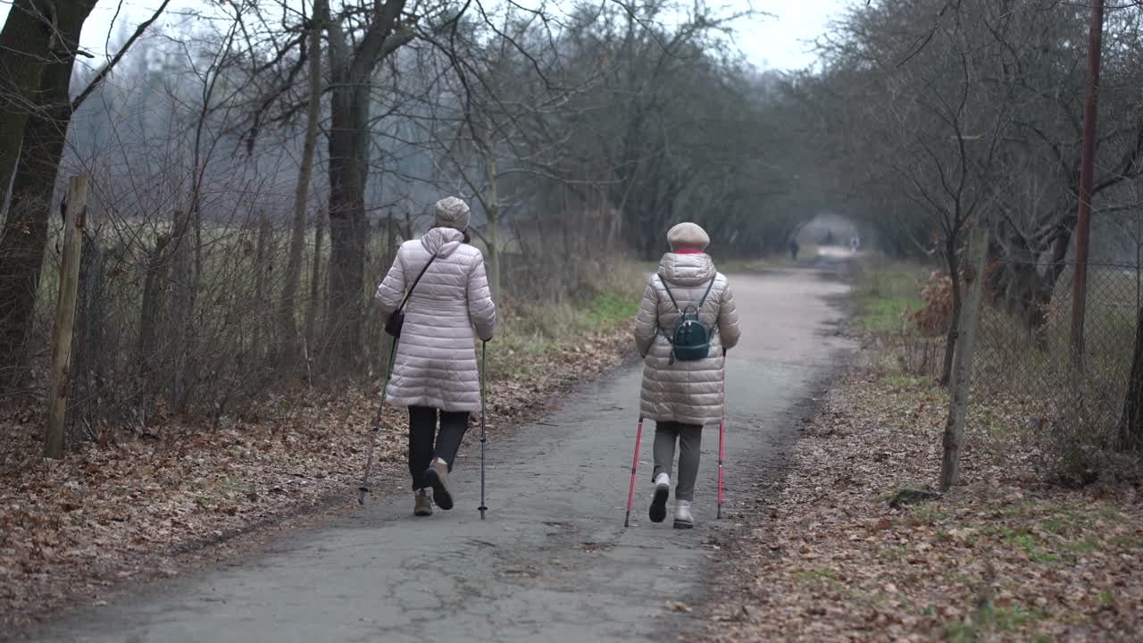나무가 있는 골목 끝을 향해 안개 속에서 걸어가는 사람들. 대도시의 신비한 분위기