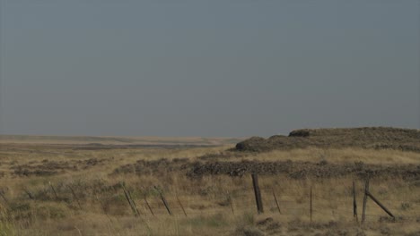 dry desert rocky grassland landscape. rocks and fence with blowing grass