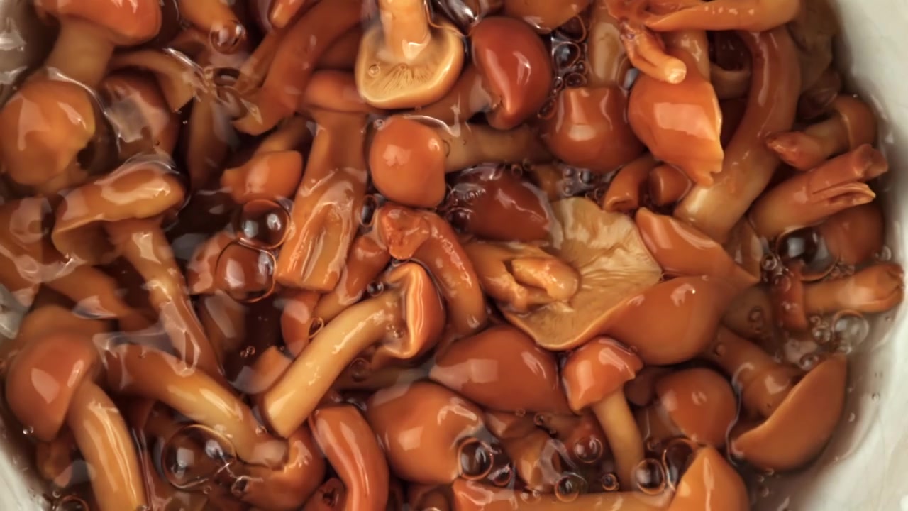 Funghi freschi lavati in acqua