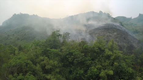 Antena-Sobre-Una-Ladera-De-Tala-Y-Quema-Ardiendo