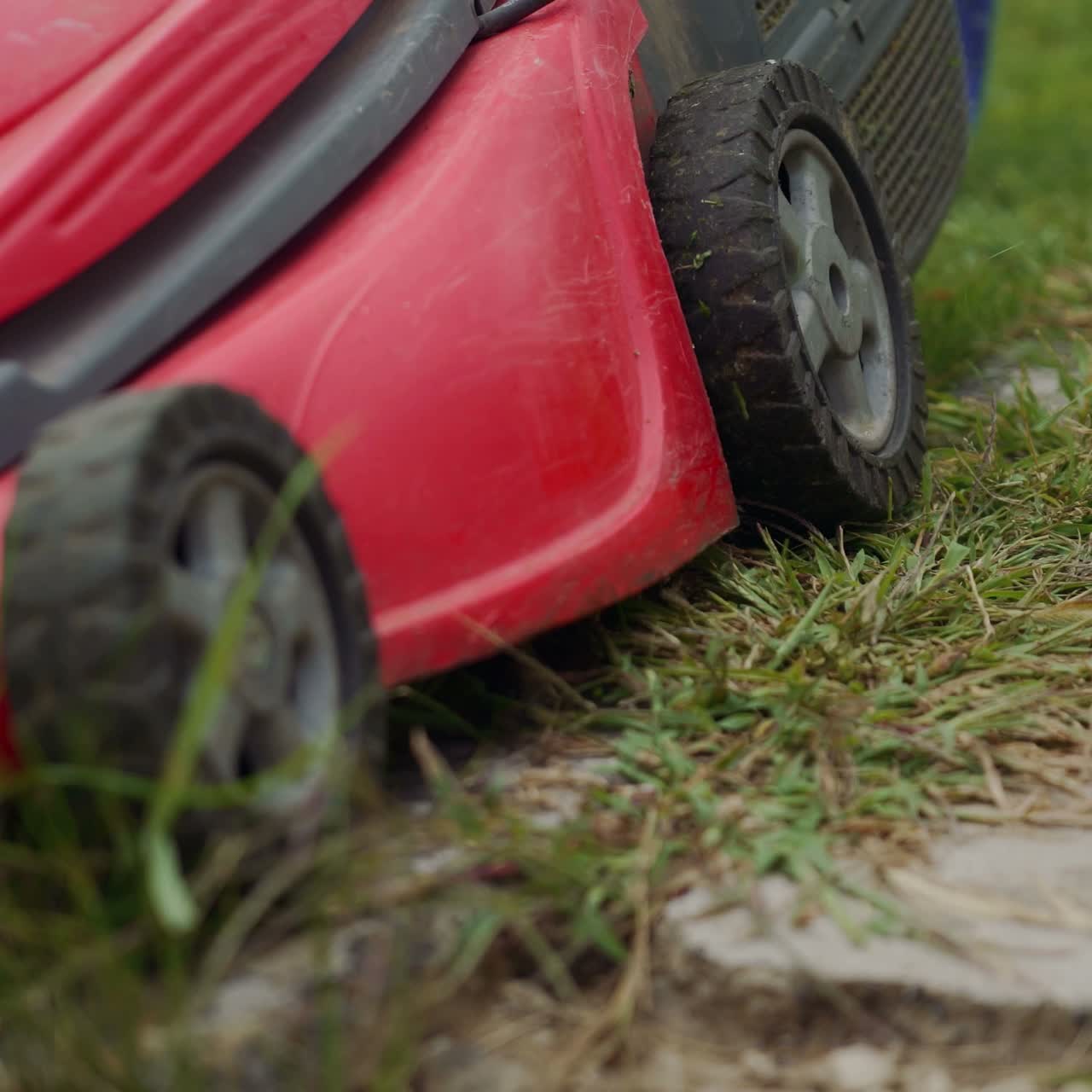 girl is mowing grass by lawn mower around flower pots with roses in the garden in the summer. Close-up of mowing the lawn.