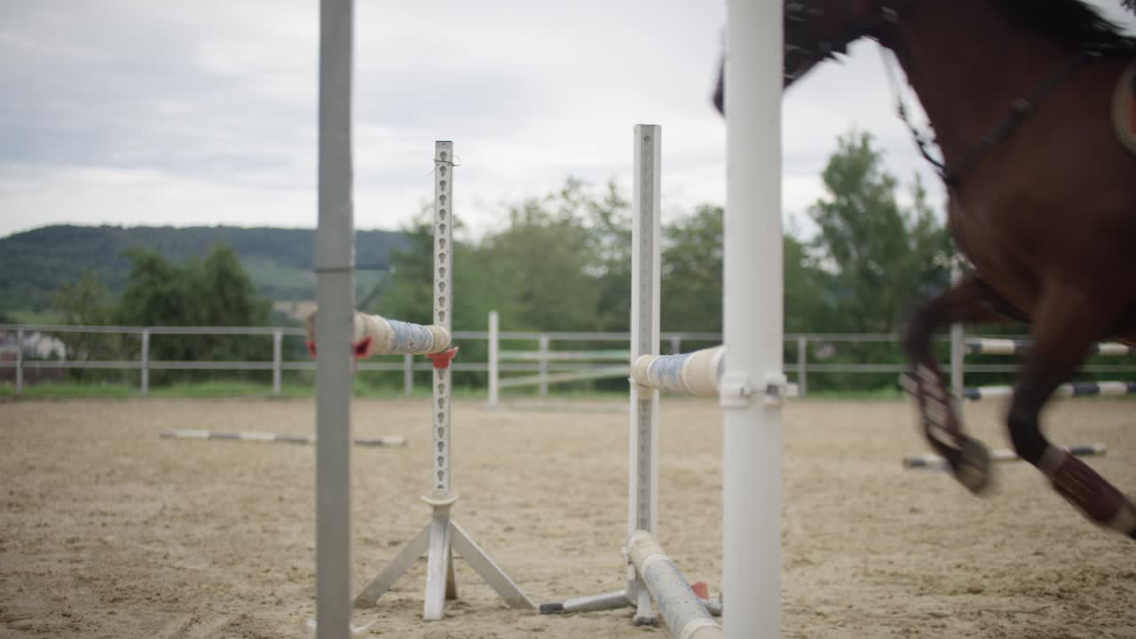 Toma en cámara lenta de un caballo saltando un obstáculo ecuestre