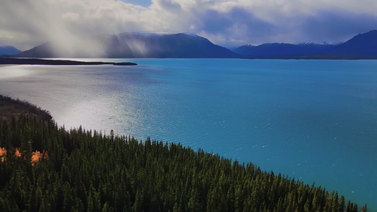 bosque prístino junto al lago atlin con montañas al fondo