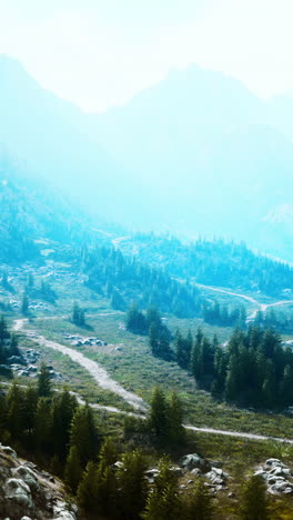 mountain range with forest and path