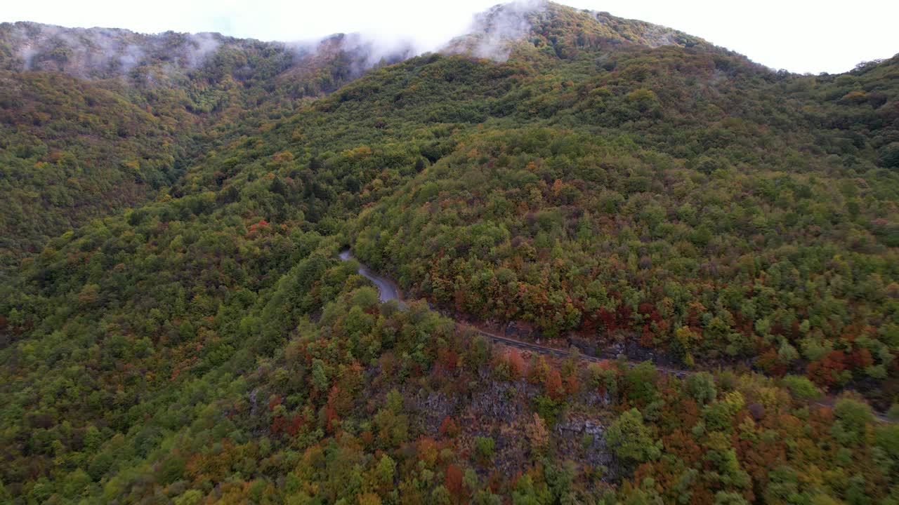 otoño en bosque de montaña con árboles verdes y marrones y pico alto cubierto de niebla