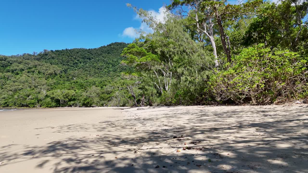 Smooth daylight pan reveals sandy beach, mangroves, and lush rainforest under clear blue sky