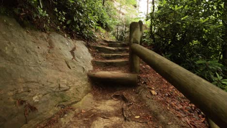 nature hike at natural bridge state park, kentucky