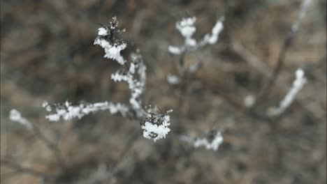 Gefrorenes,-Mit-Frost-Bedecktes-Gras-An-Einem-Kalten-Wintermorgen-In-Filmischer-Zeitlupe