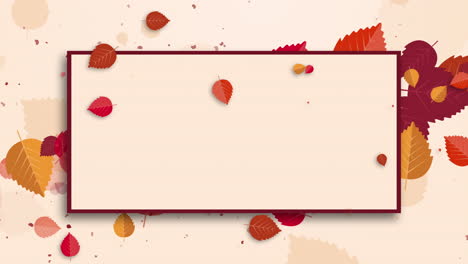 red and yellow fallen rowan leaves on beige background. rectangle frame for text. autumn sale background template. looped animation.