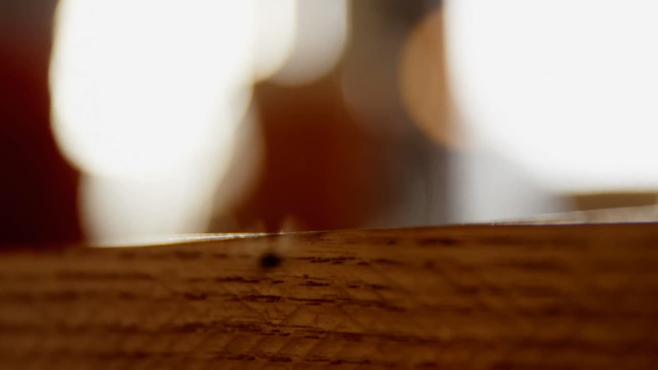 mosca de la casa sentada en el borde de la mesa de madera 4k