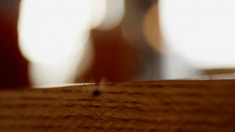 Mosca-Doméstica-Sentada-En-El-Borde-De-Una-Mesa-De-Madera-4k