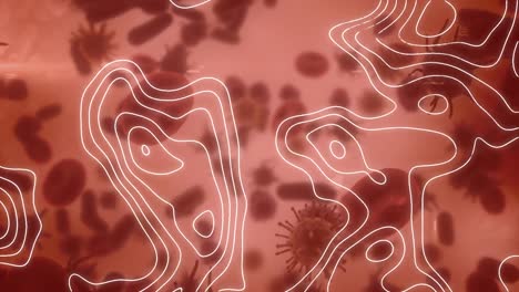 Animation-Von-Sich-Bewegenden-Linien-über-Sich-Bewegenden-Zellen-Auf-Rotem-Hintergrund