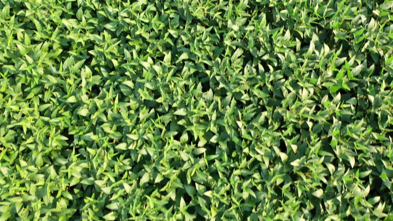 granja en missouri en un día soleado