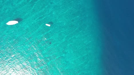 a couple swimming, snorkeling with manta ray in blue azure turquoise sea water of maldives