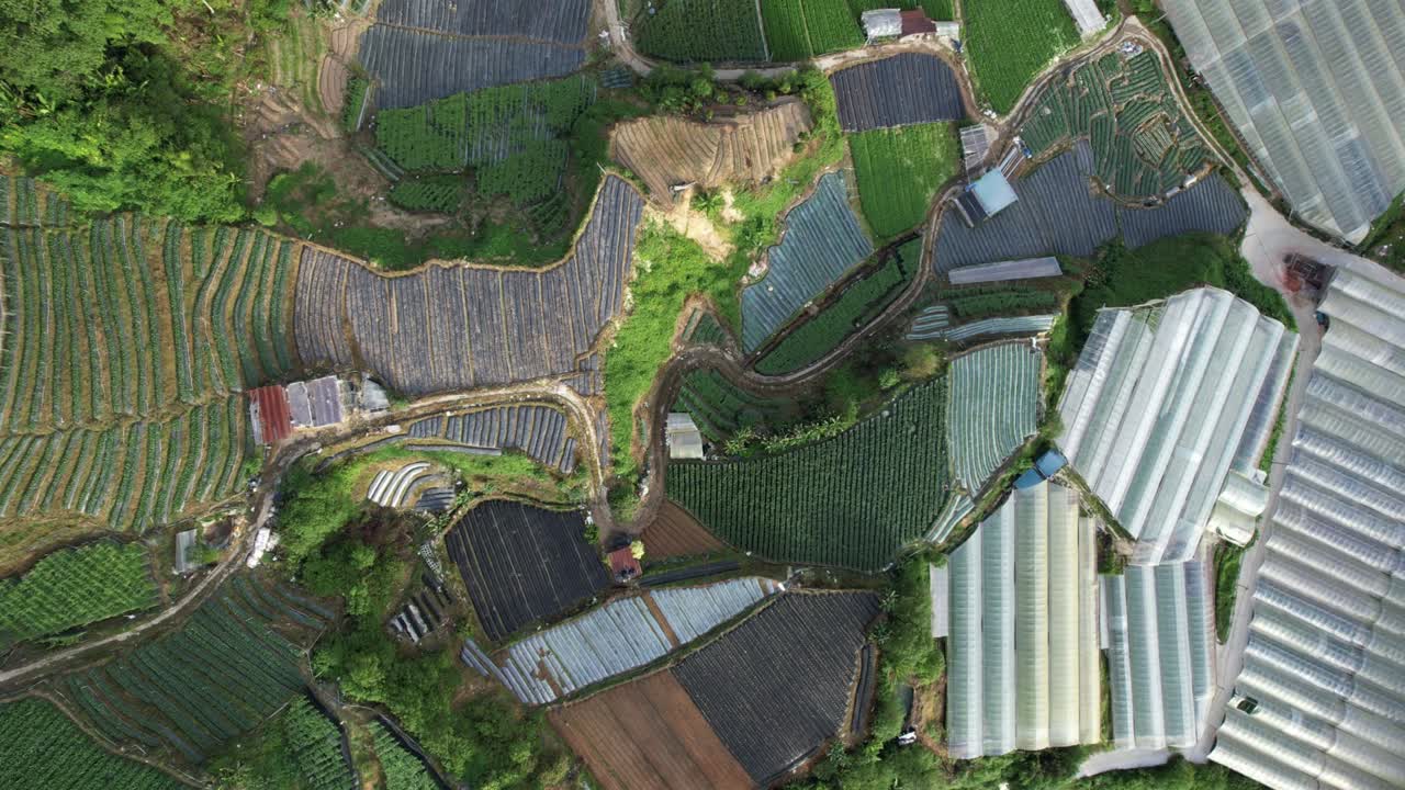 vista general del paisaje del distrito de brinchang dentro del área de cameron highlands de malasia