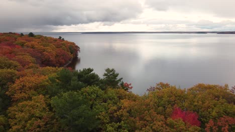 autumn lake forest with endless horizon and sky reflection, aerial descend view