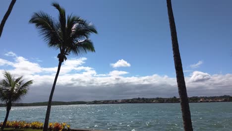 Palm-trees-against-ocean-and-clouds-background