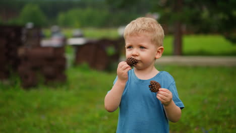 Toddler-boy-smells-pine-cone-walking-along-playground