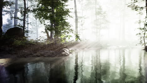 Estanque-En-Un-Bosque-Con-Niebla