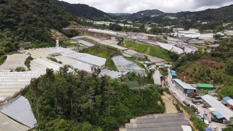 general landscape view of the brinchang district within the cameron highlands area of malaysia