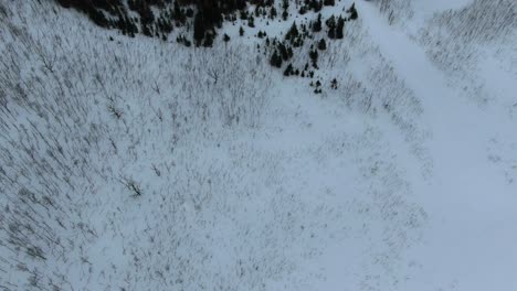 Drone-view-in-Tromso-area-in-winter-flying-over-a-snowy-mountain-showing-a-leafless-tree-forest-in-Segla,-Norway