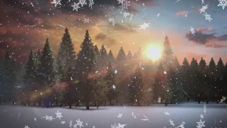 Animation-of-winter-scenery-with-fir-trees