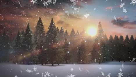 animación de paisajes de invierno con abetos