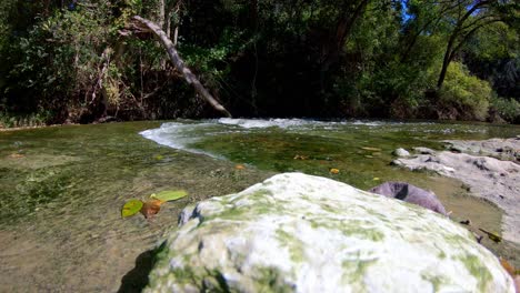 Panning-left-past-the-top-of-a-pretty-white-rock-with-green-algae-patches