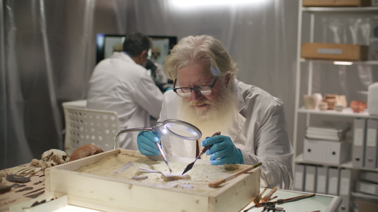 Elderly Archaeologist Excavating Artifacts with Magnifier and Tools in Lab