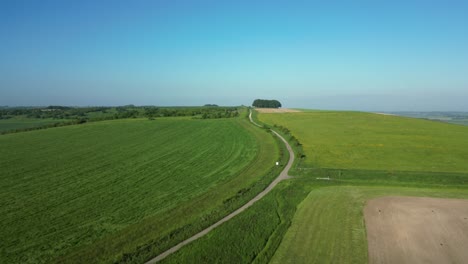 aerial drone footage showcases vast green agricultural landscape stretching beneath clear blue sky, with fields and crops forming vibrant patchwork of lush greenery in england, uk