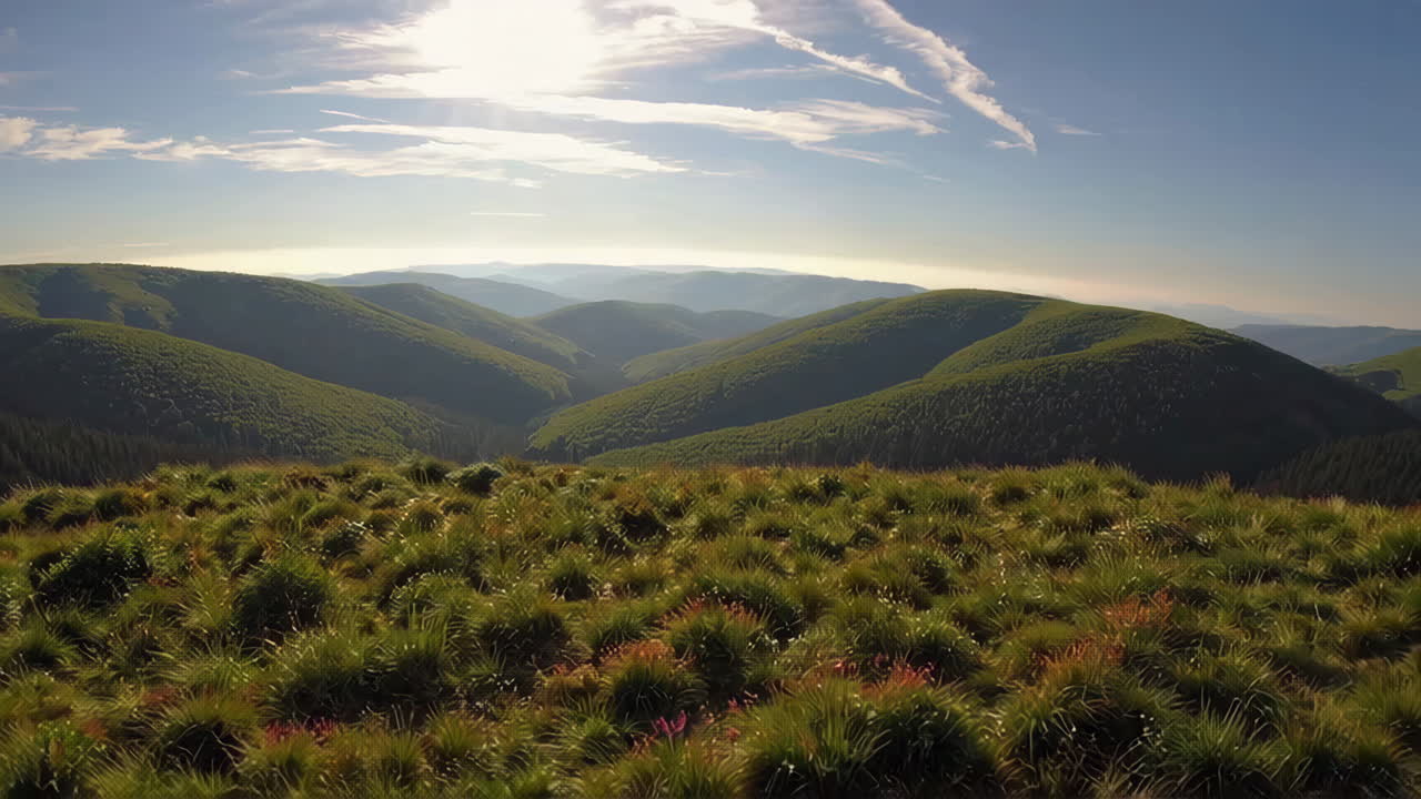 Mountainous Landscape with Lush Green Hills