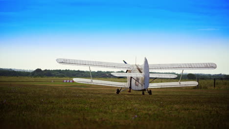 vintage biplane on a field