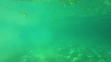 Snorkeling-and-Underwater-View-in-Thassos-Island,-Greece