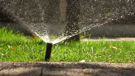 close up of a sprinkler watering a lawn