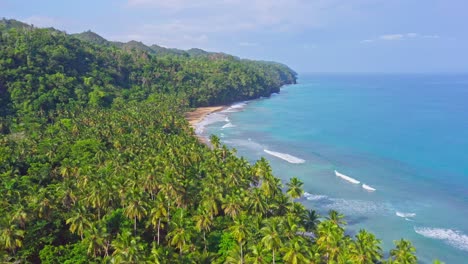 Untouched-coastal-landscape-with-green-coconut-tree-jungle-and-blue-sea-waves,-aerial