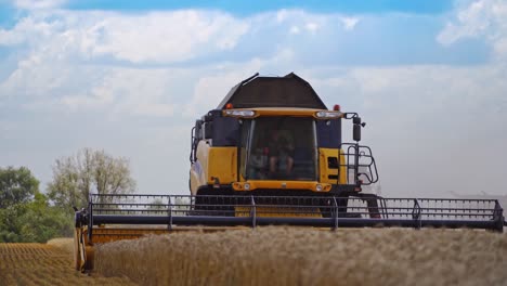 harvest of wheat field at countryside. heavy agricultural machinery during harvest