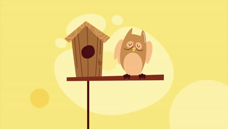 casa de pájaros de madera con animación de búho