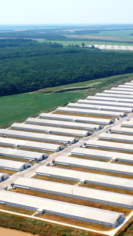 agricultural farming buildings aerial view. modern agriculture plant fields farm buildings. vertical video