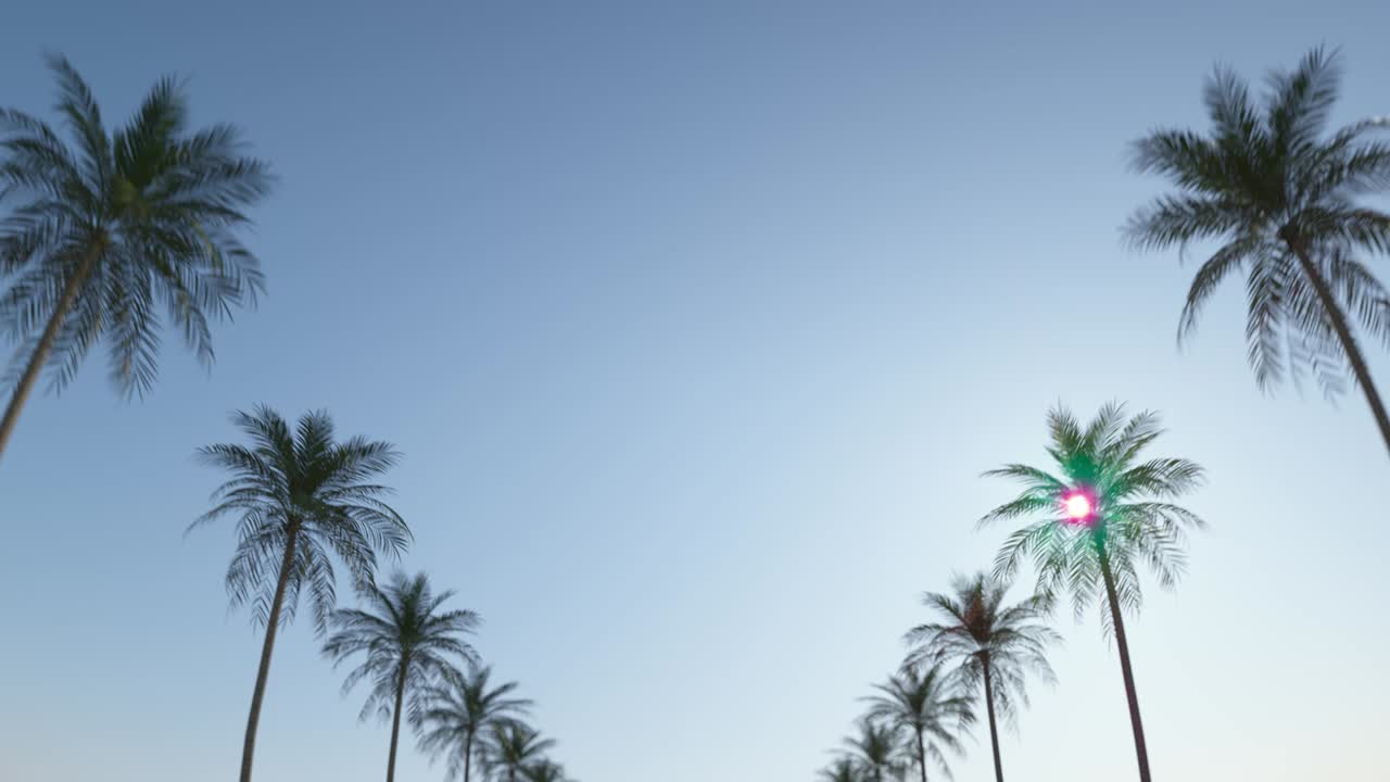 Driving down the street between tropical palms under the blue summer sky. Loop animation. In Ultra HD 4k.