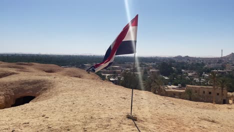 view of egypt flag in the desert overlooking a group of trees, close up shot, static shot