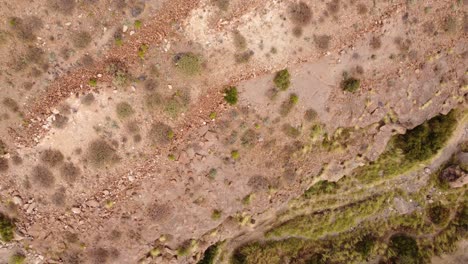 Dried-river,-Tenerife,-aerial-top-down