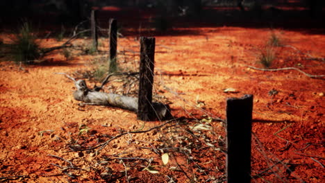 Fragment-of-an-old-fence-with-rusty-barbed-wire