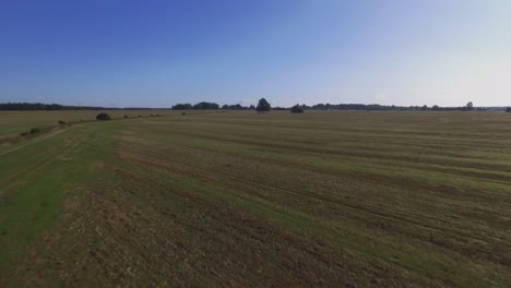 Volando-Bajo-Hacia-árboles-Individuales-En-Campos-Agrícolas-En-Un-Día-Soleado-1