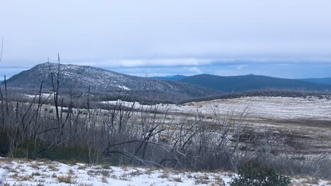 una toma amplia de un hermoso paisaje nevado en el alto país victoriano