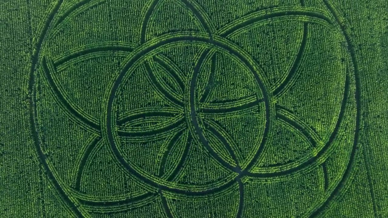 Orbiting over Complex circular crop pattern sown using satellite technology, not cut in later, in Saaremaa, Estonia.