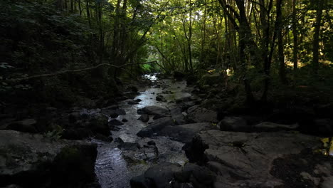 drone flying over rocks of stream crossing shady forest near mortain waterfall, manche in france
