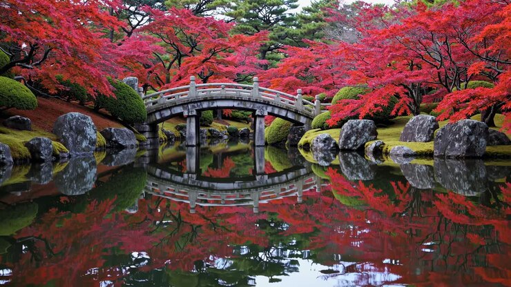 Serena scena di un giardino con un ponte in pietra e un vivace fogliame rosso, ripresa da un angolo basso